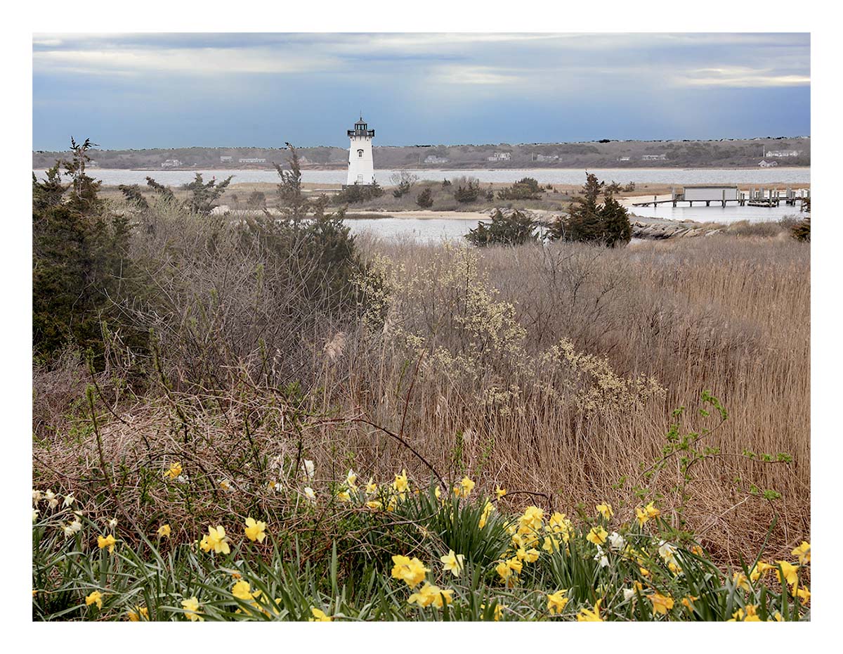 Edgartown LH