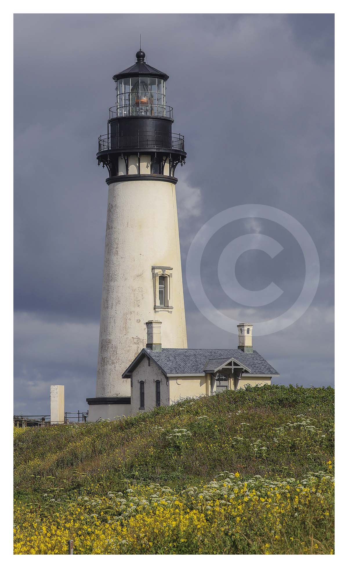 Yaquina Head LH