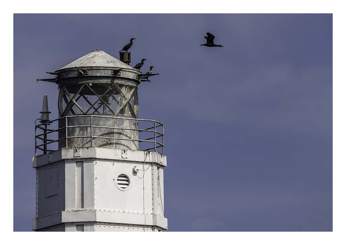 Gray's Reef Light