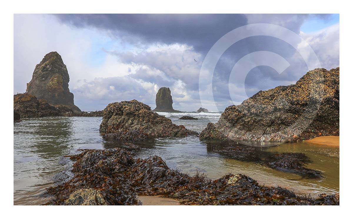 Pacific Coast