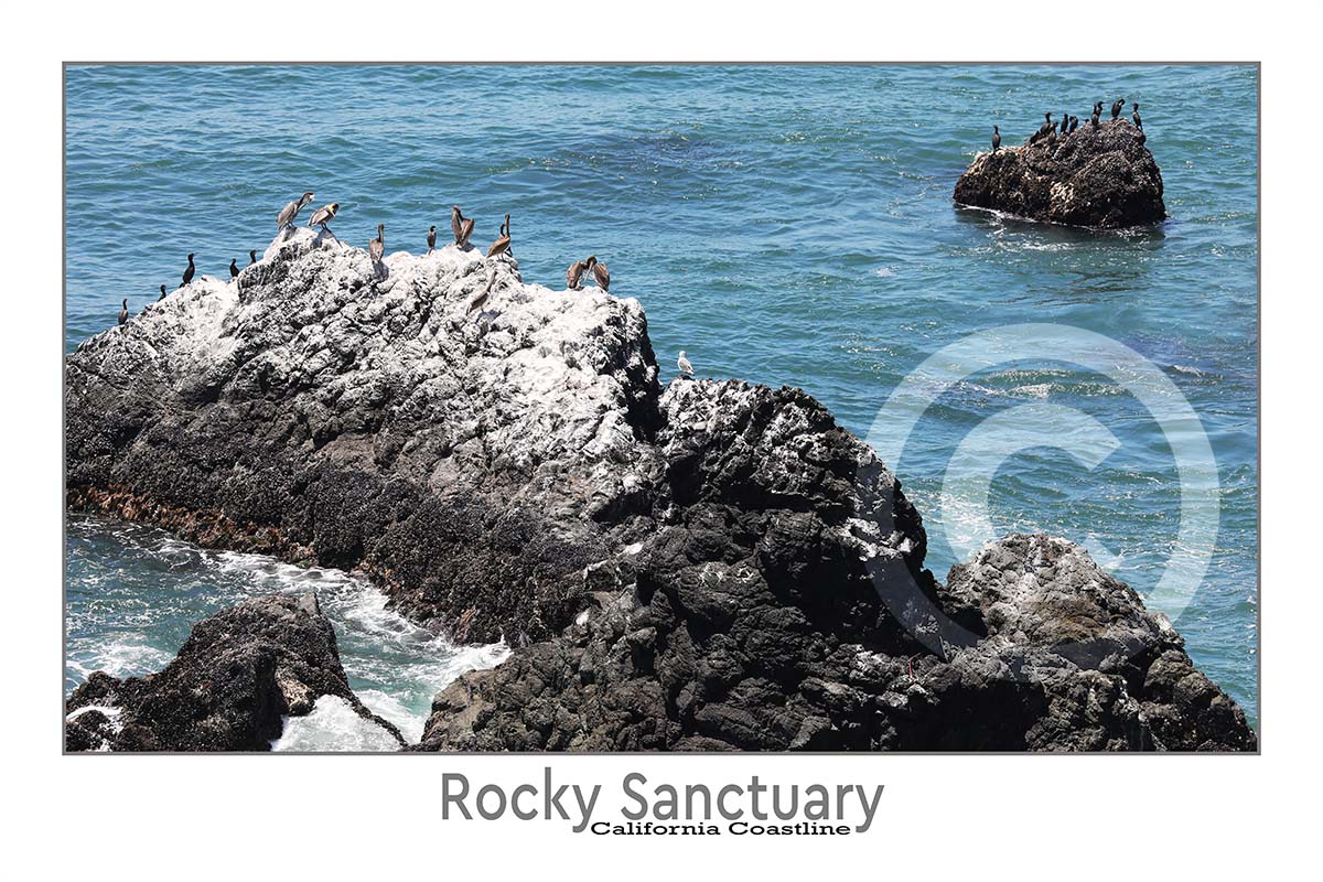 Rocky Samctuary