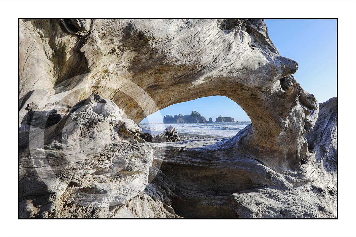 Rialto Beach