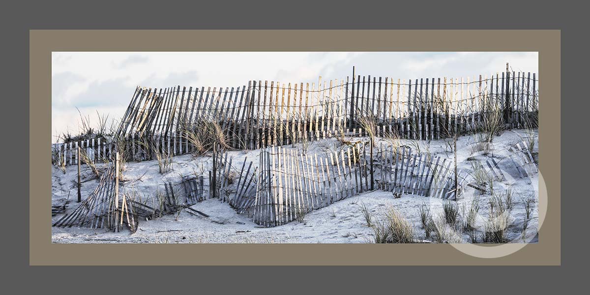 Snow Fence