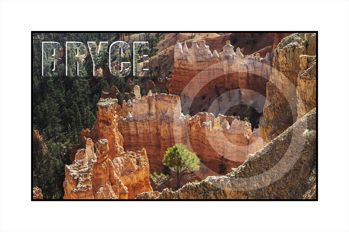 Bryce