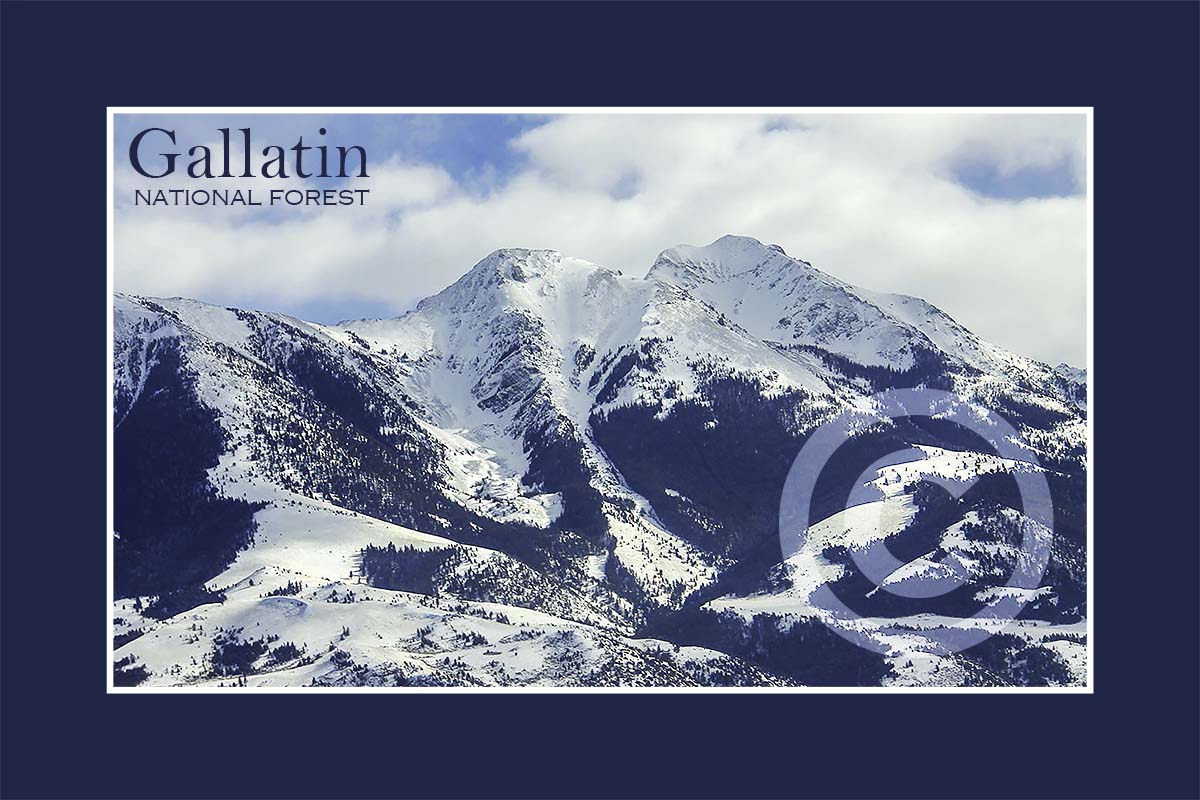 Gallatin NF