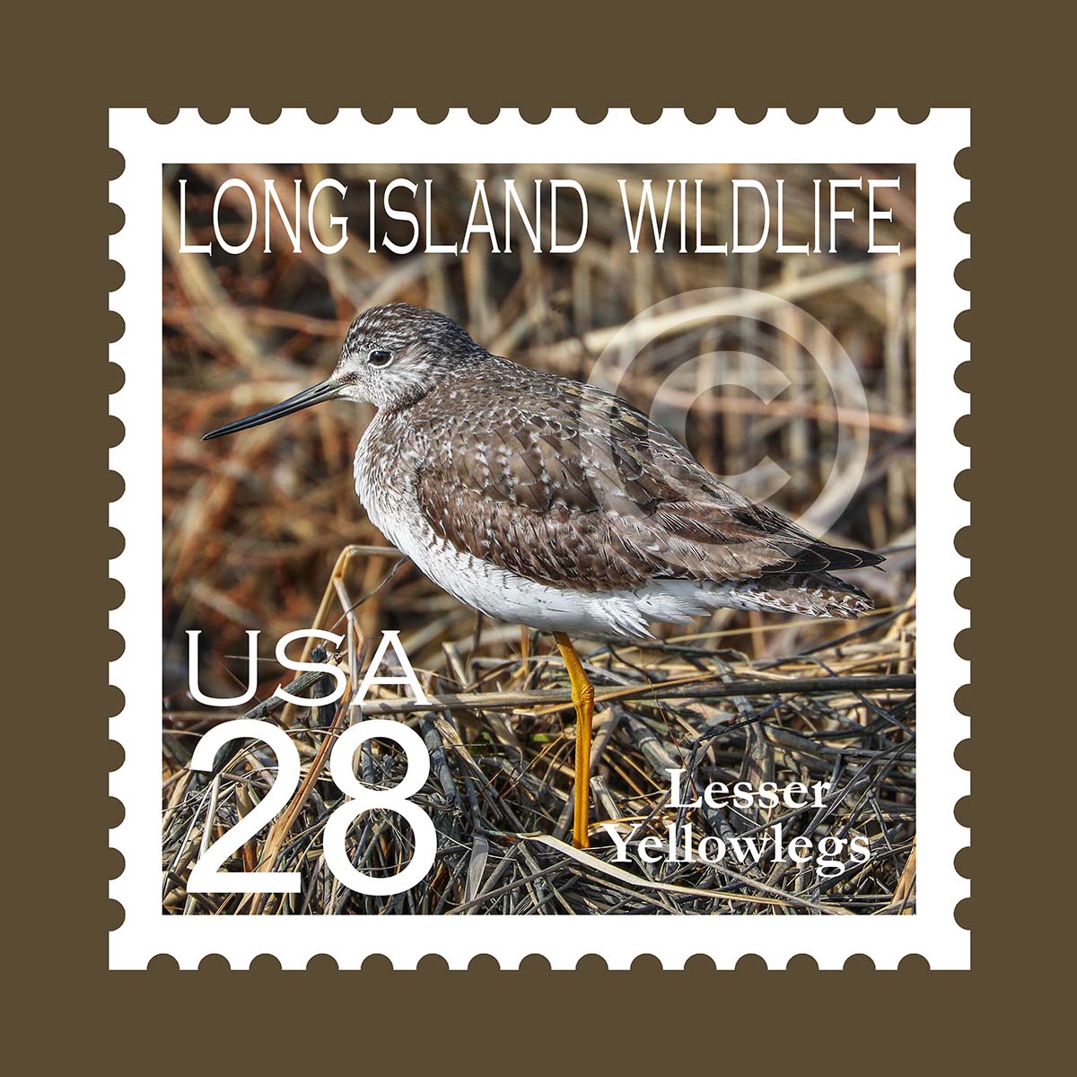 Yellowlegs