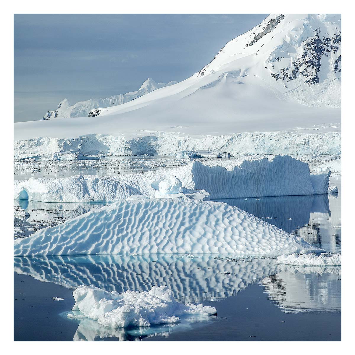 Antartica