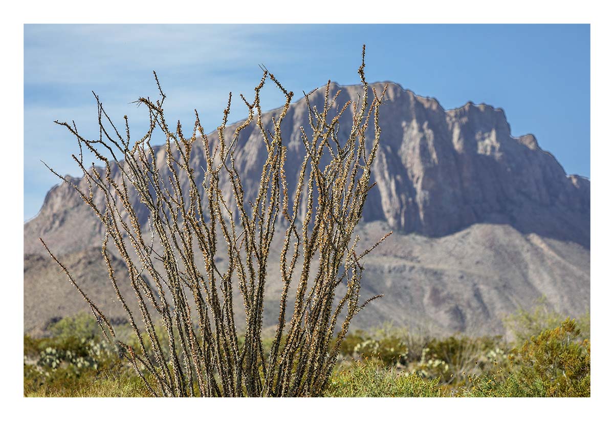 Big Bend