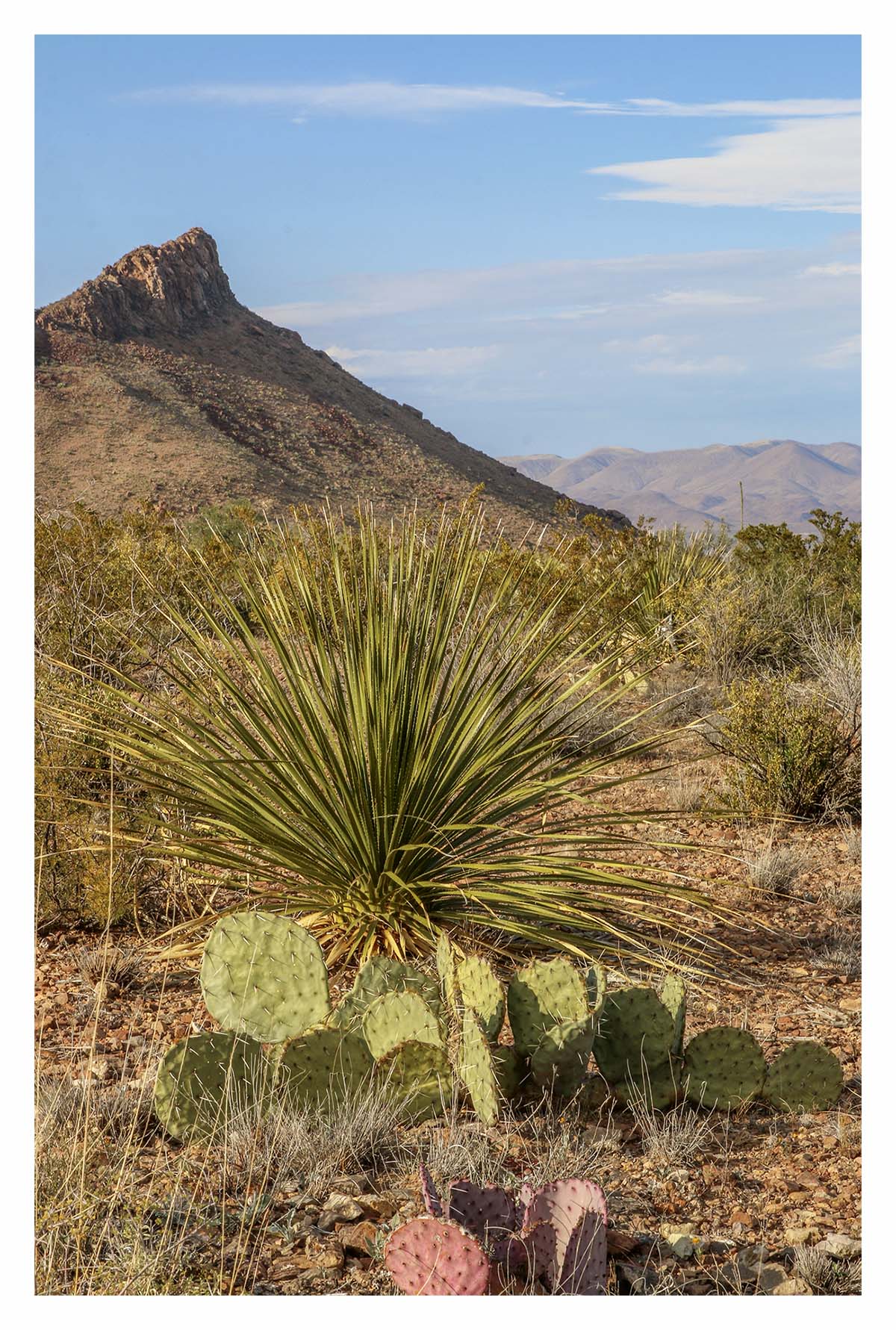 Big Bend