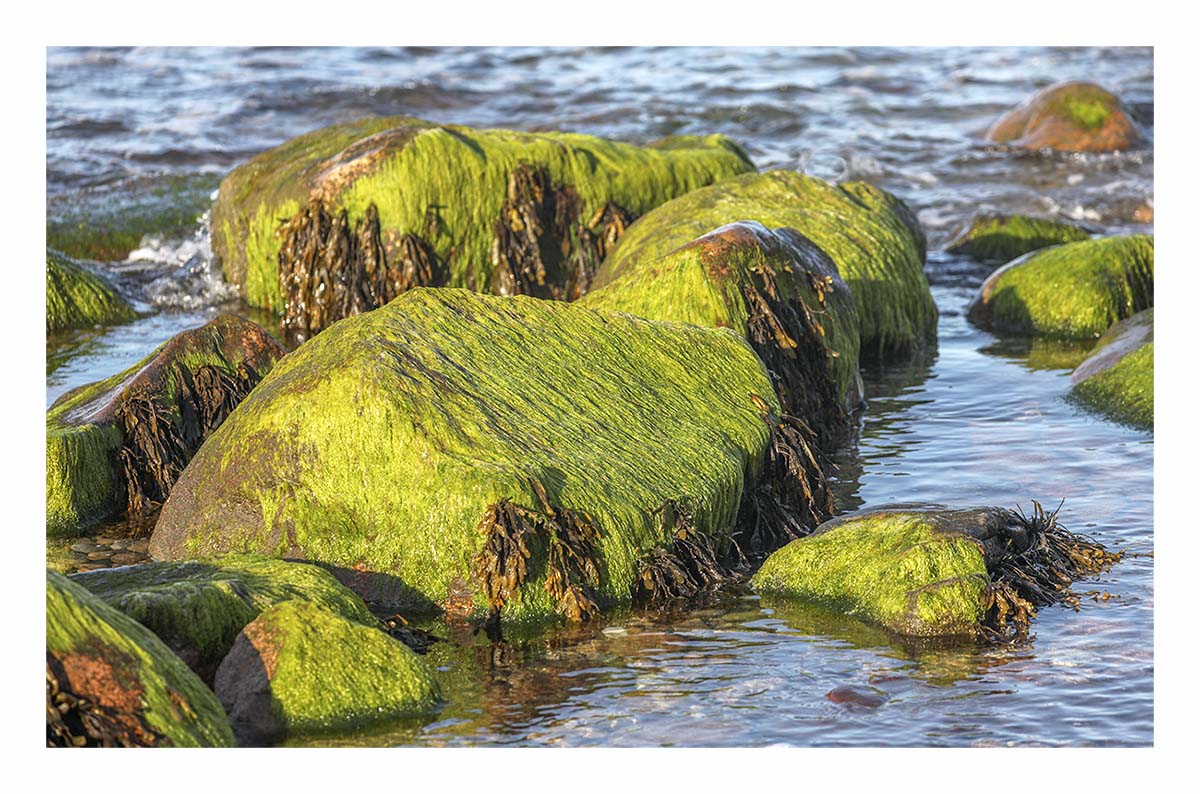 Block Island