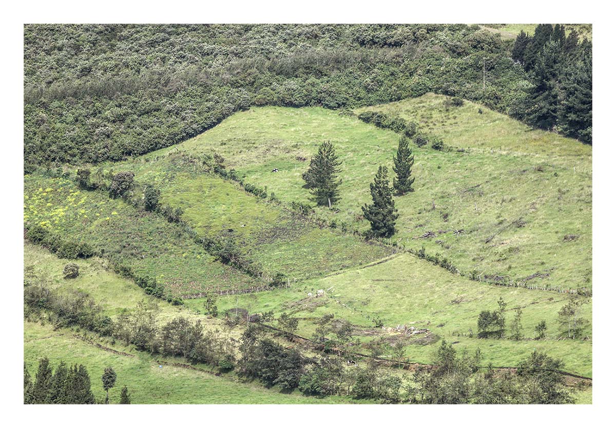 Ecuador