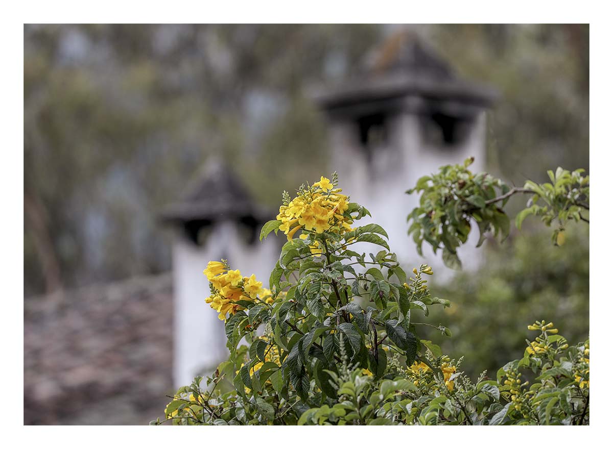 Ecuador