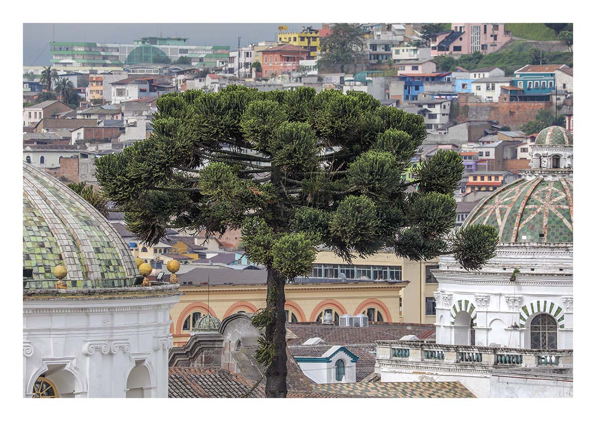 Ecuador