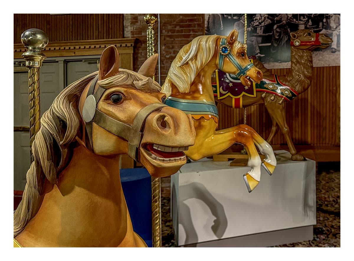 NE Carousel Museum