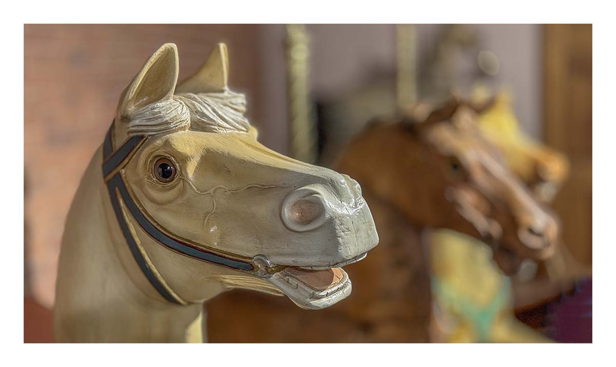 NE Carousel Museum