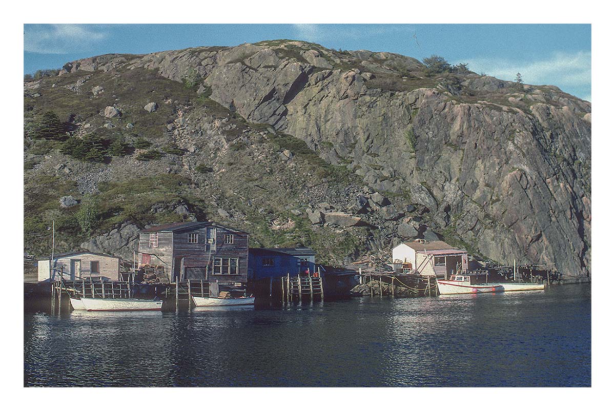 Newfoundland