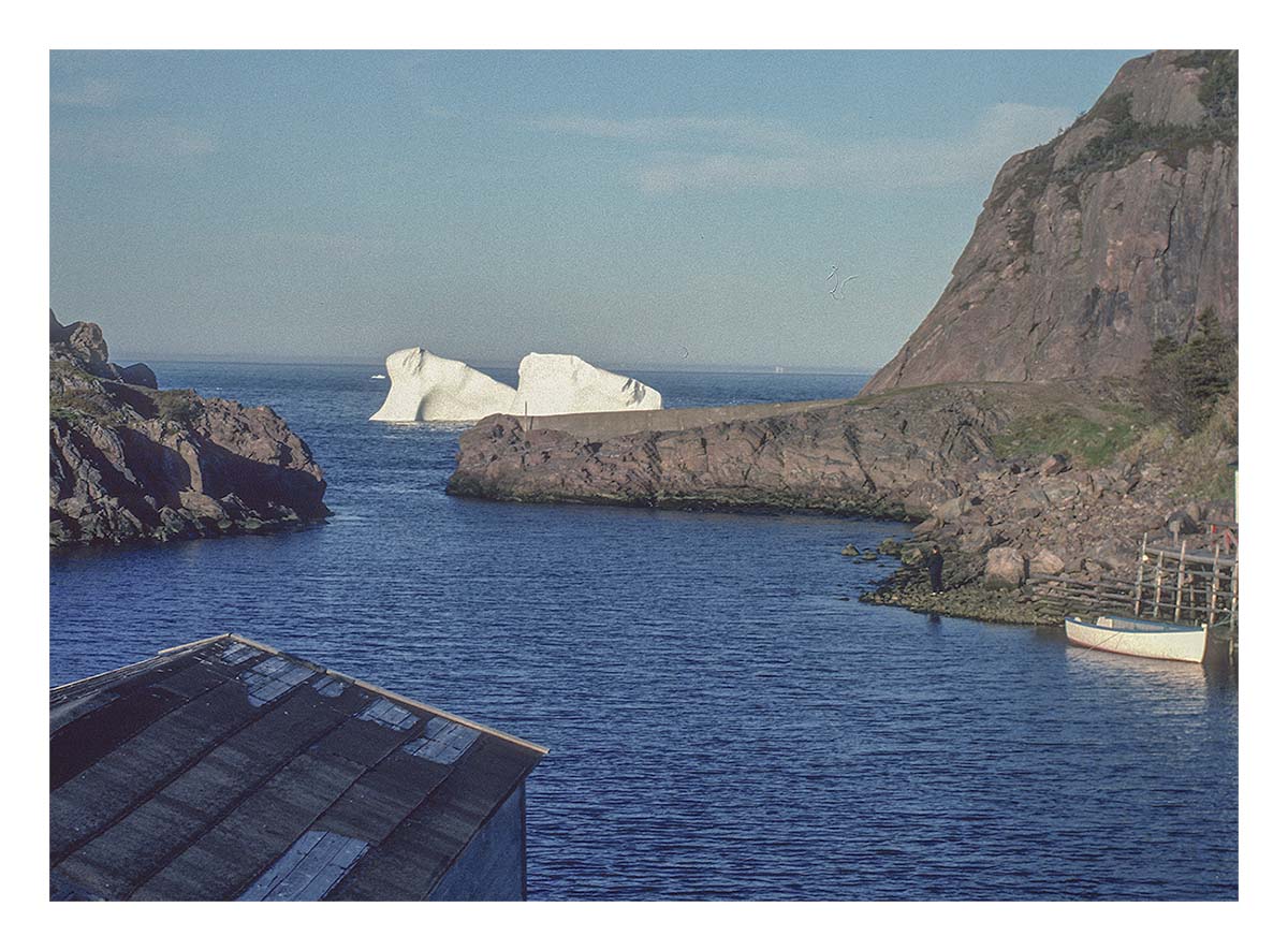 Newfoundland