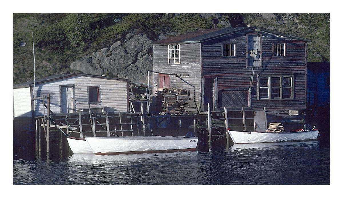 Newfoundland