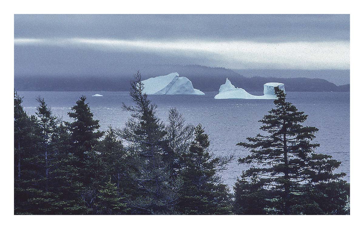 Newfoundland