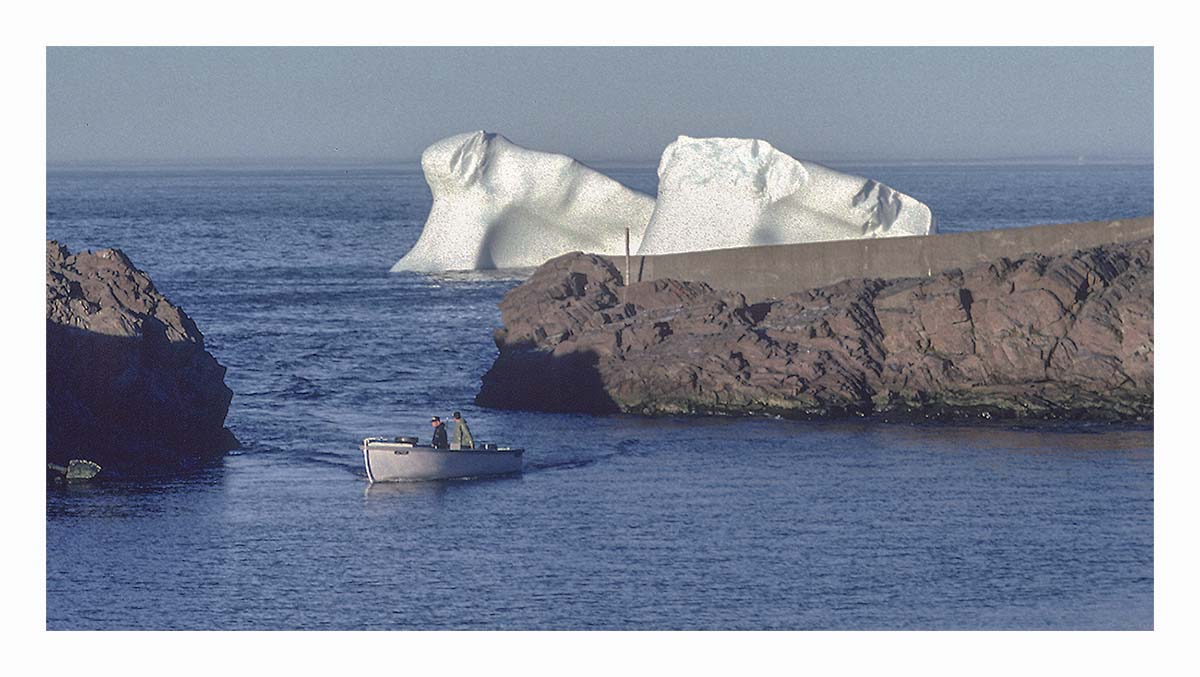 Newfoundland