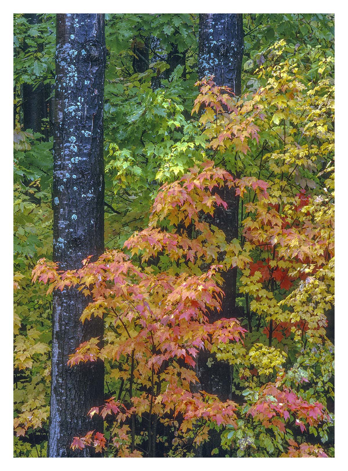 New Hampshire