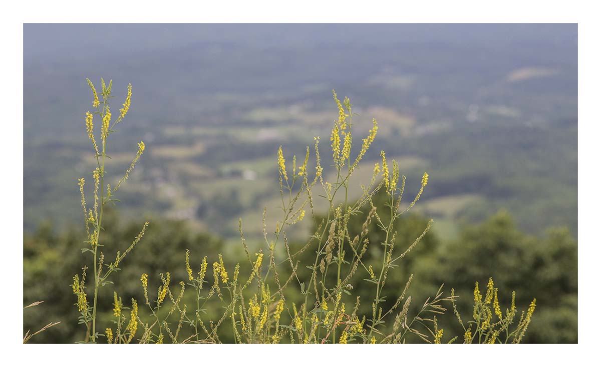 Shenandoah NP