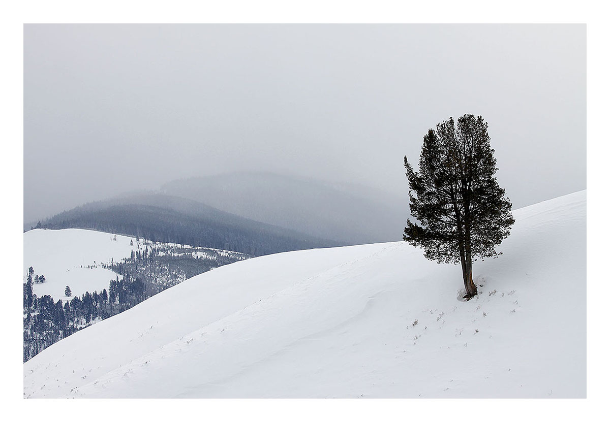 Yellowstone