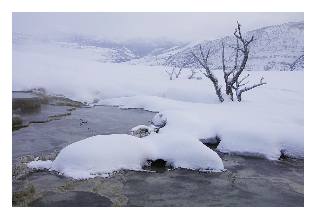 Yellowstone