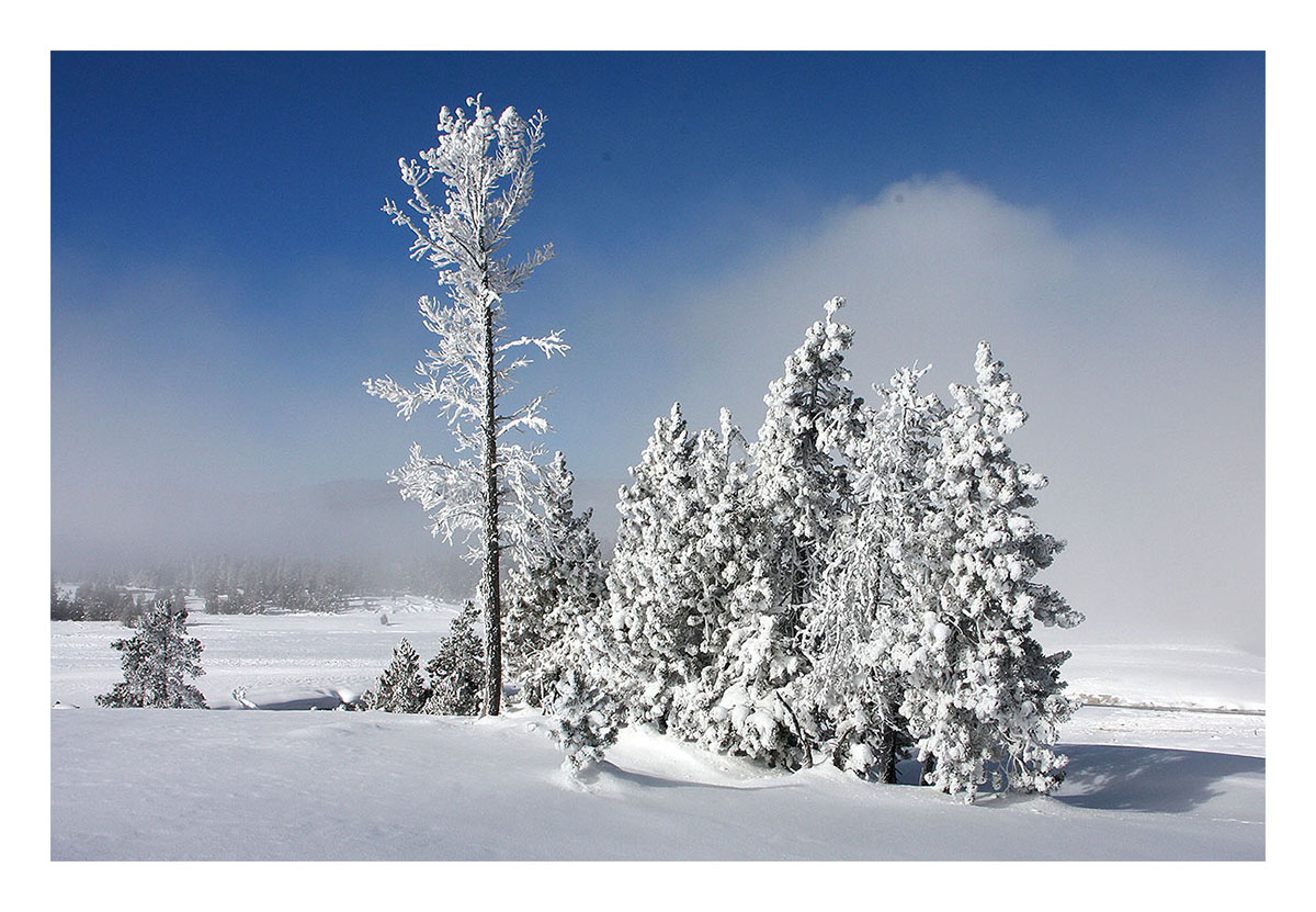 Yellowstone