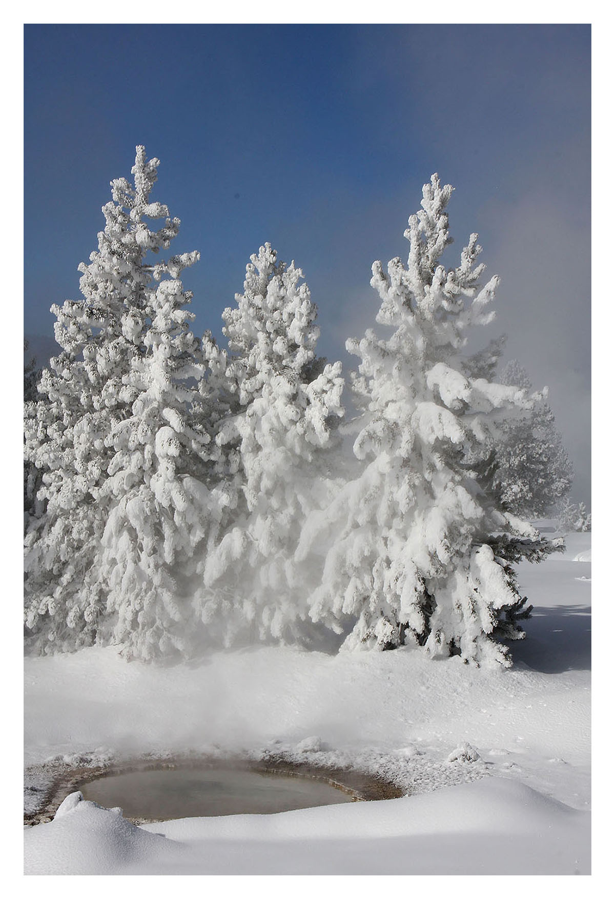 Yellowstone