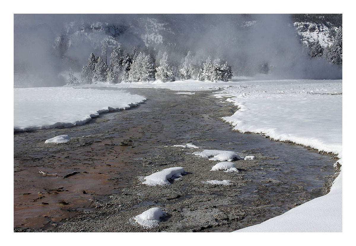 Yellowstone