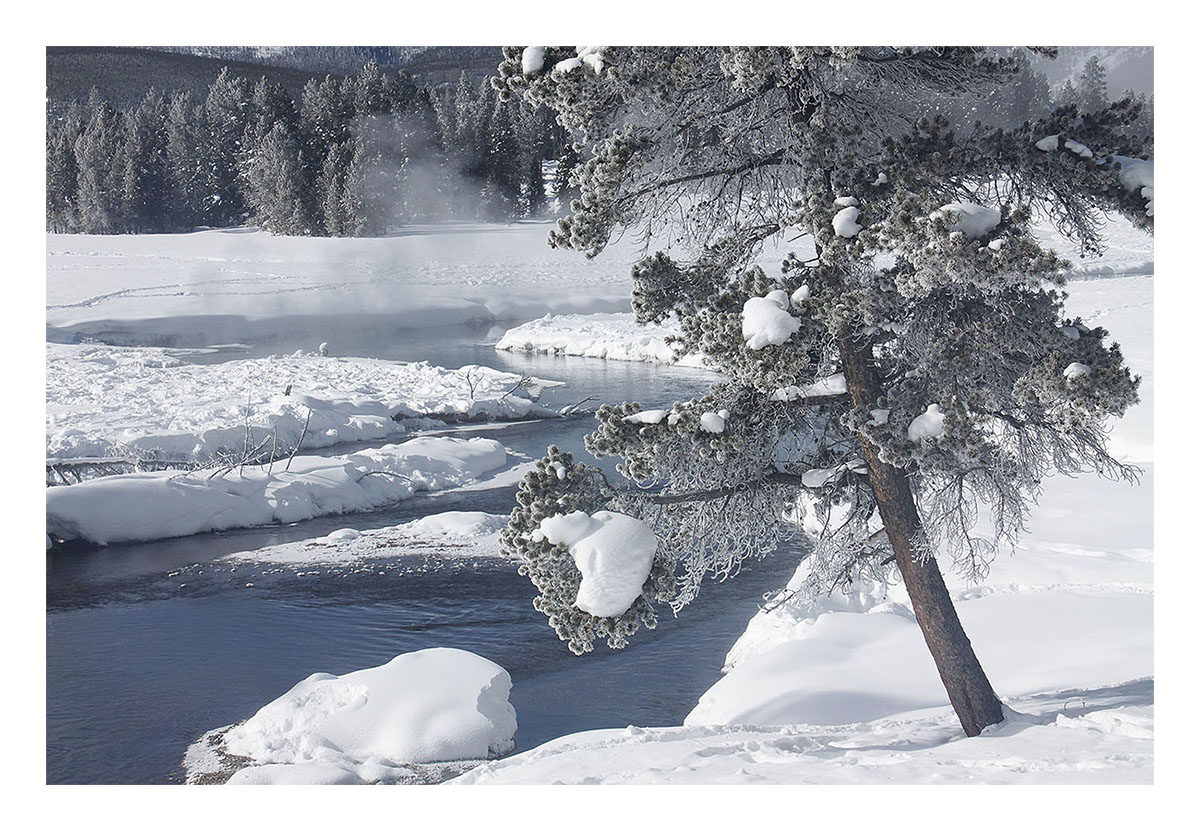 Yellowstone