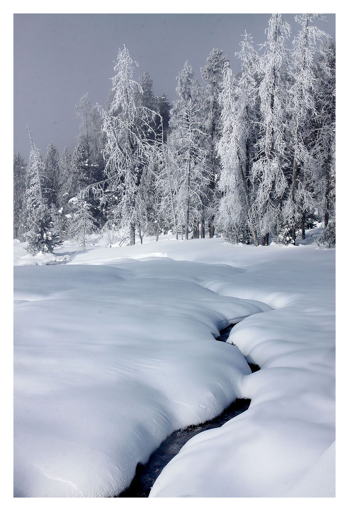 Yellowstone