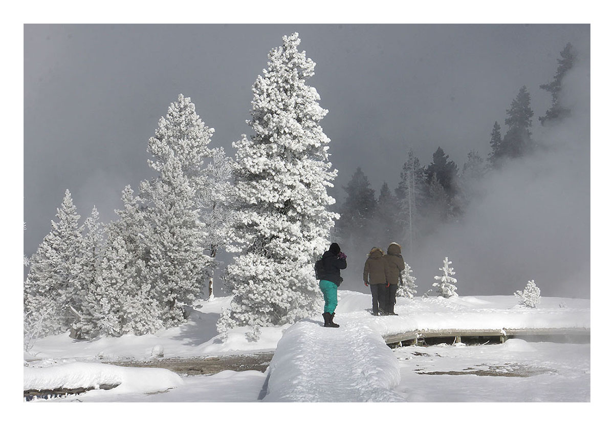 Yellowstone