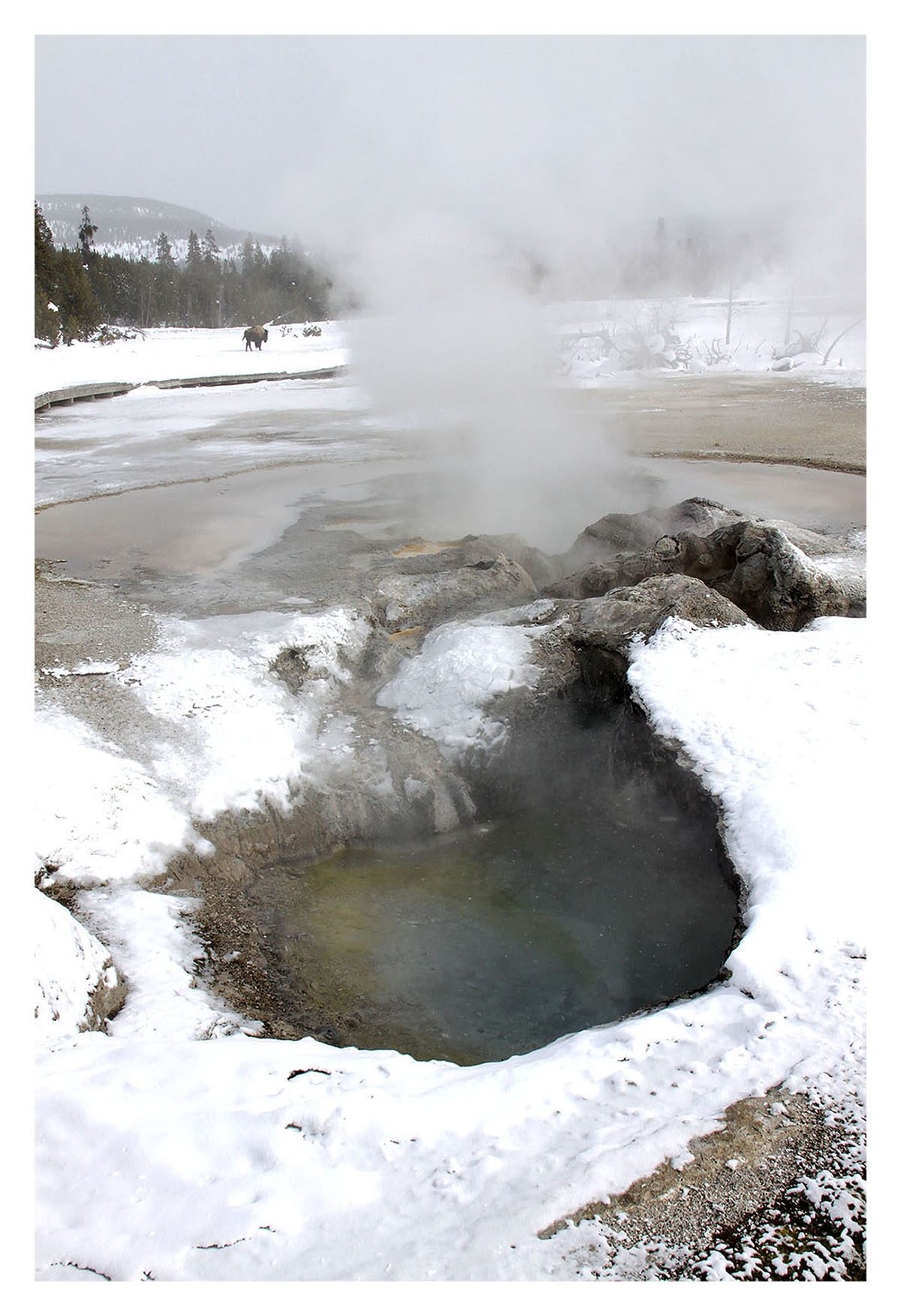 Yellowstone