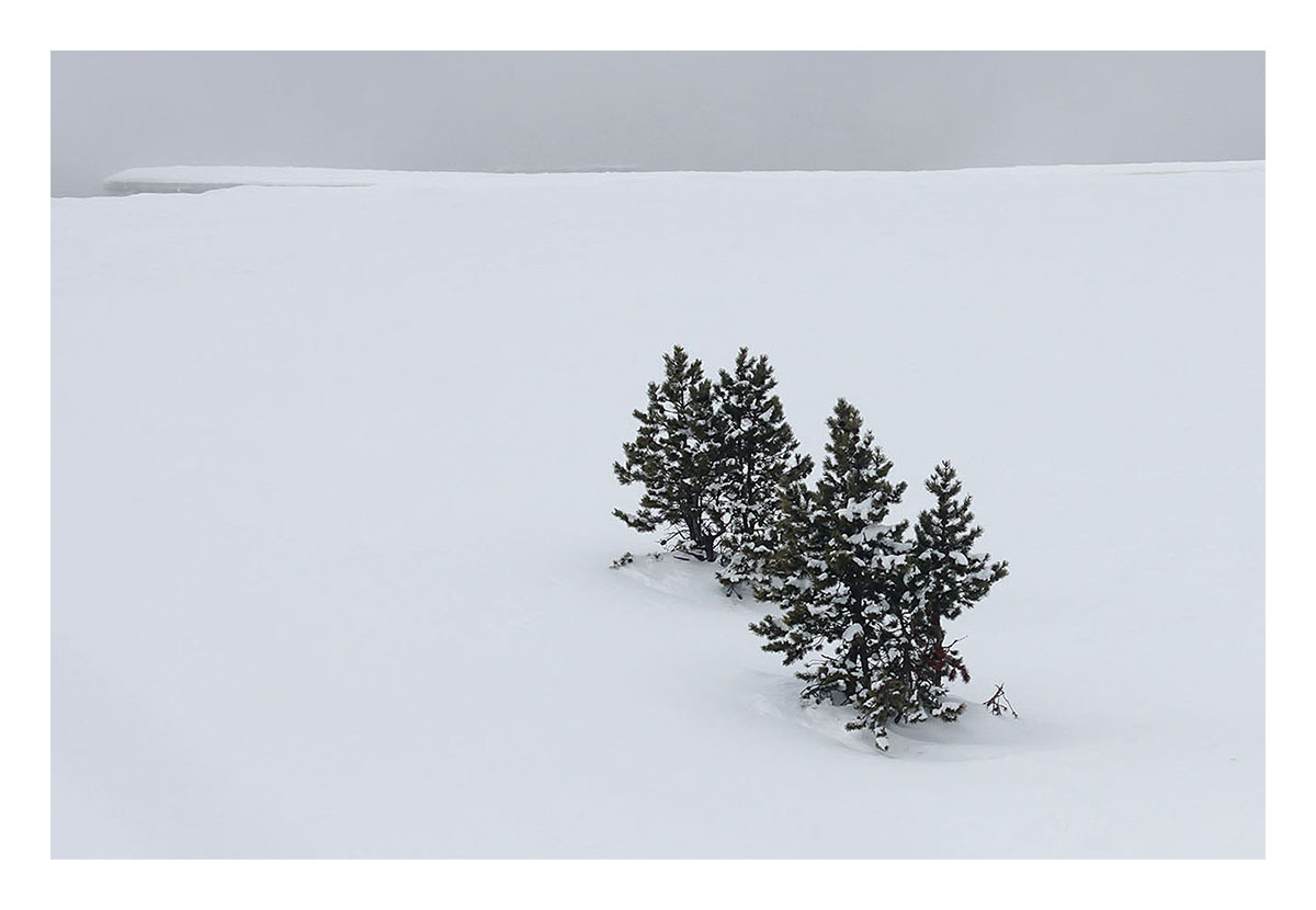 Yellowstone