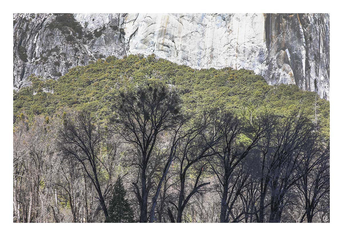 Yosemite